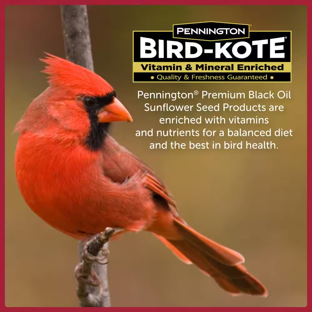 Premium 10 Lb. Black Oil Sunflower Bird Seed Food