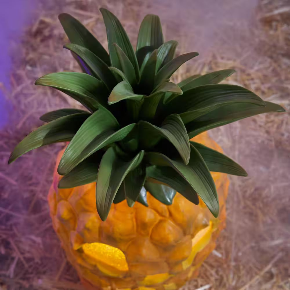 17 in Halloween Classics Battery Operated LED Pineapple Jack-O-Lantern