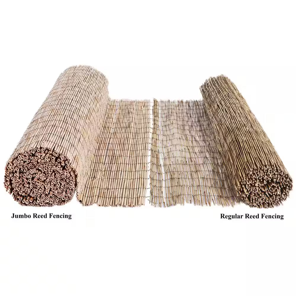 6 Ft. H X 16 Ft. L Natural Jumbo Reed Bamboo Fencing