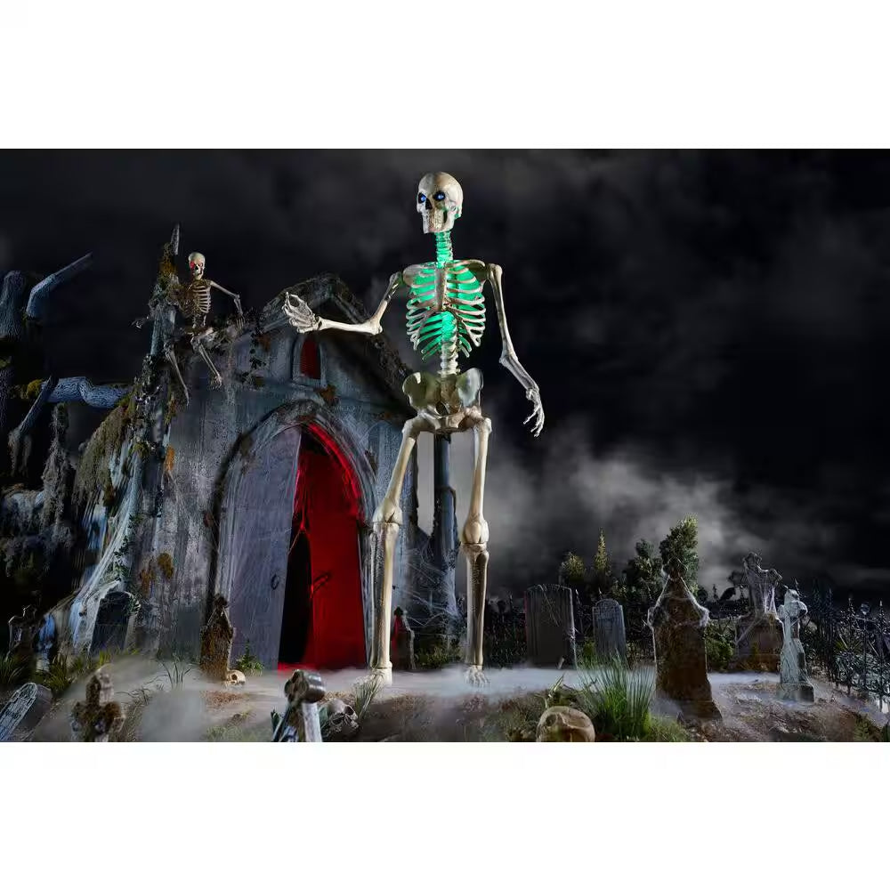 Color Changing LED 12 FT Skelly Lighting Kit