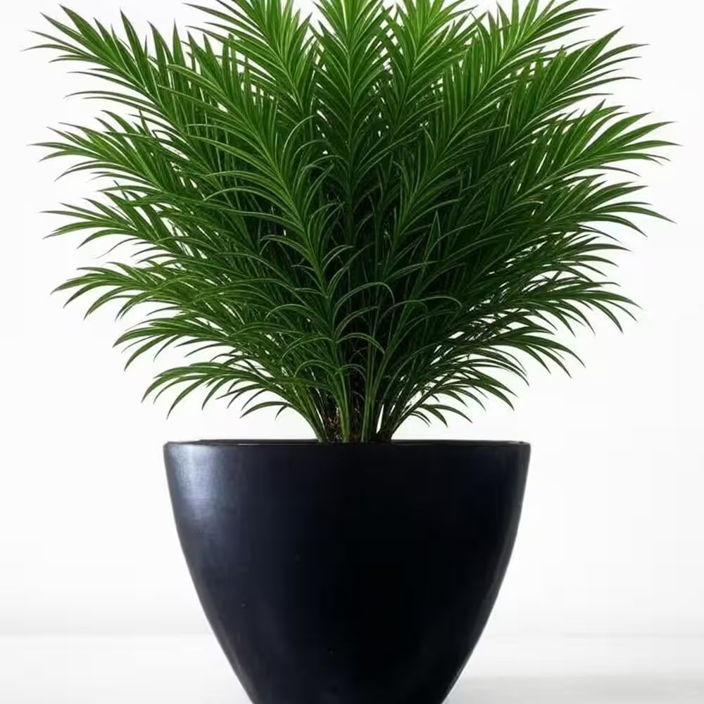 27 In. X 21 In. Charcoal Verona Bowl Plastic Planter