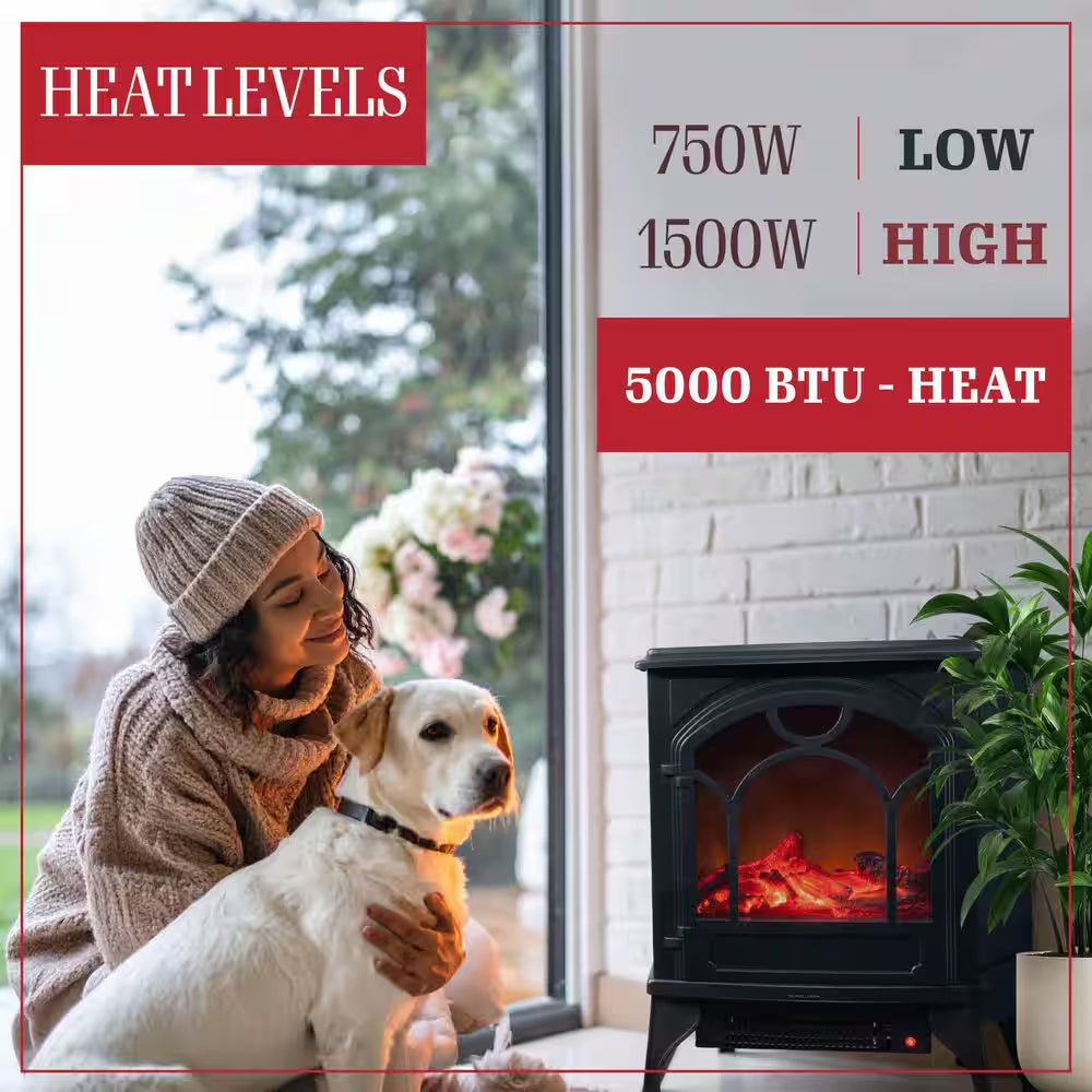 21.5 In. Freestanding Classic Electric Log Fireplace in Black