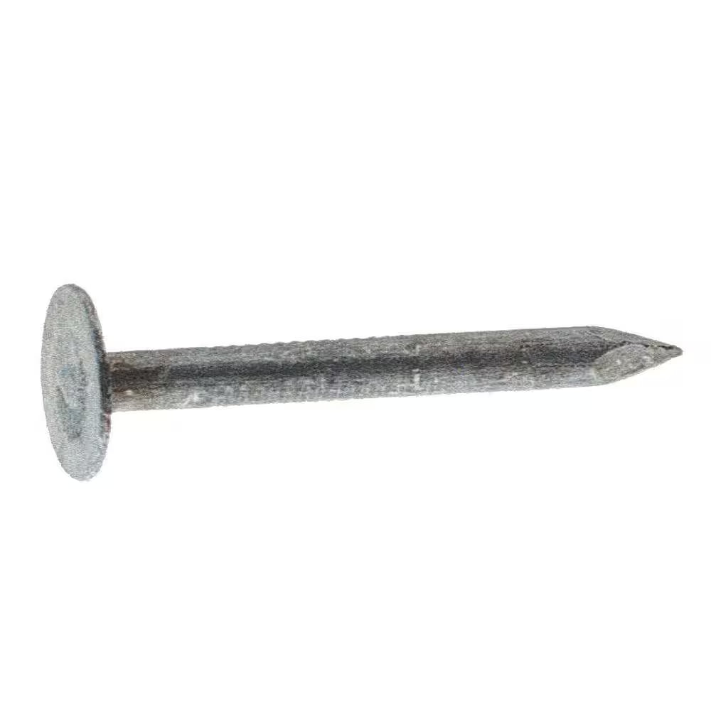 1-1/4 In. X 11-Gauge Electrogalvanized Flat Head Smooth Shank Roofing Nails 5 Lb. Box