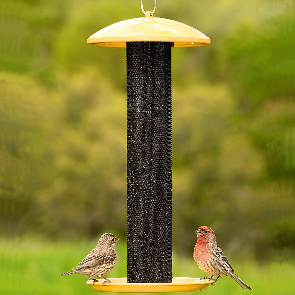 Straight Sided Yellow Metal Hanging Seed Feeder for Finch Bird-1.5 Lb. Capacity