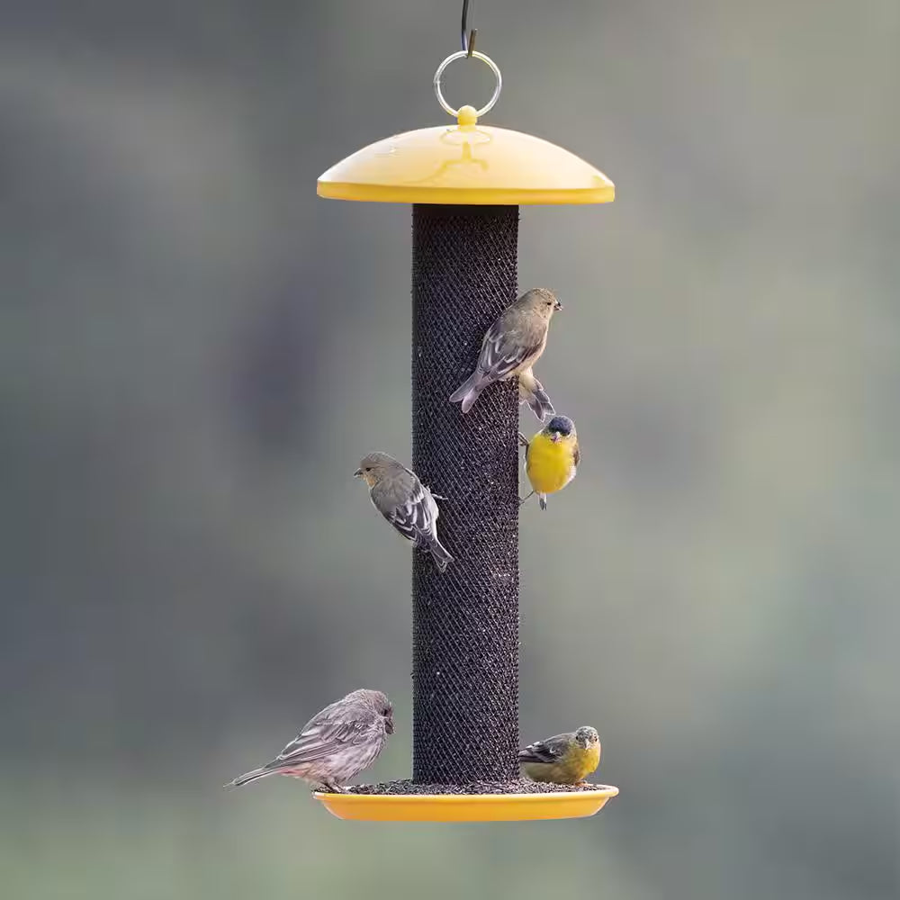 Straight Sided Yellow Metal Hanging Seed Feeder for Finch Bird-1.5 Lb. Capacity