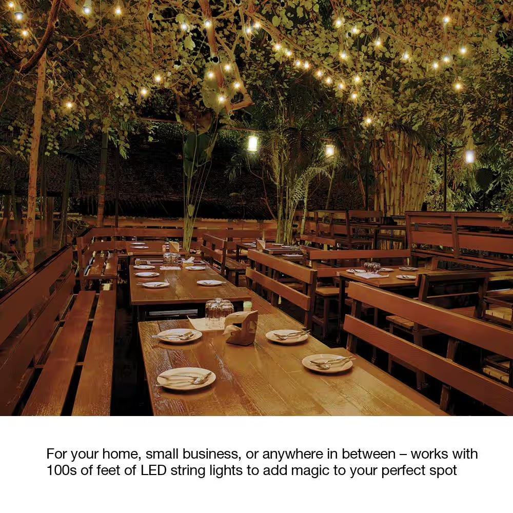 Caseta Weatherproof+ Outdoor Smart Plug with Pico Remote for Landscape/String Lights, 15A On/Off, Black (P-PKG1OUT-BL-R)