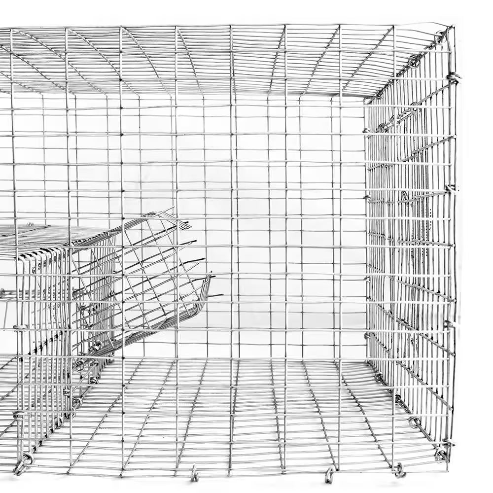 Sparrow Trap with Two Chambers (8 In. X 12 In. X 16 In.)
