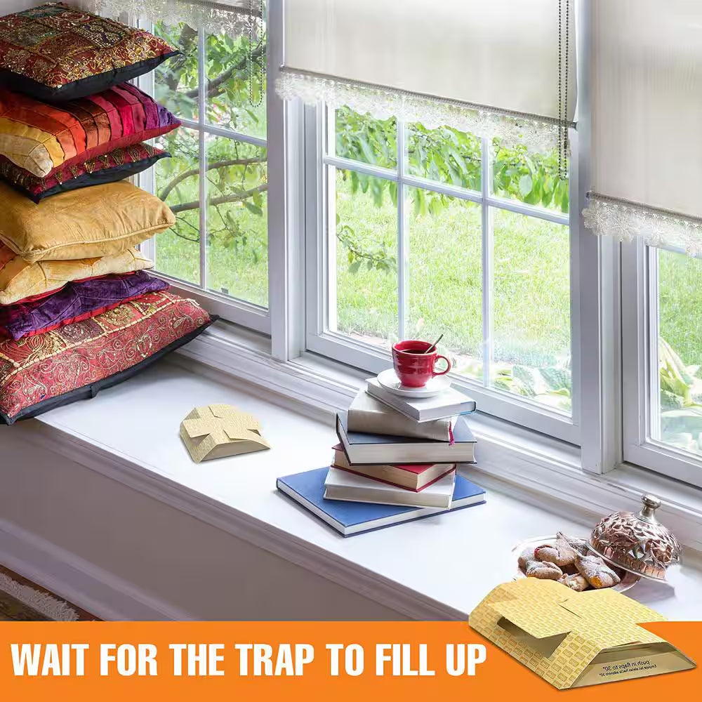 Cricket Traps (2 Pack)