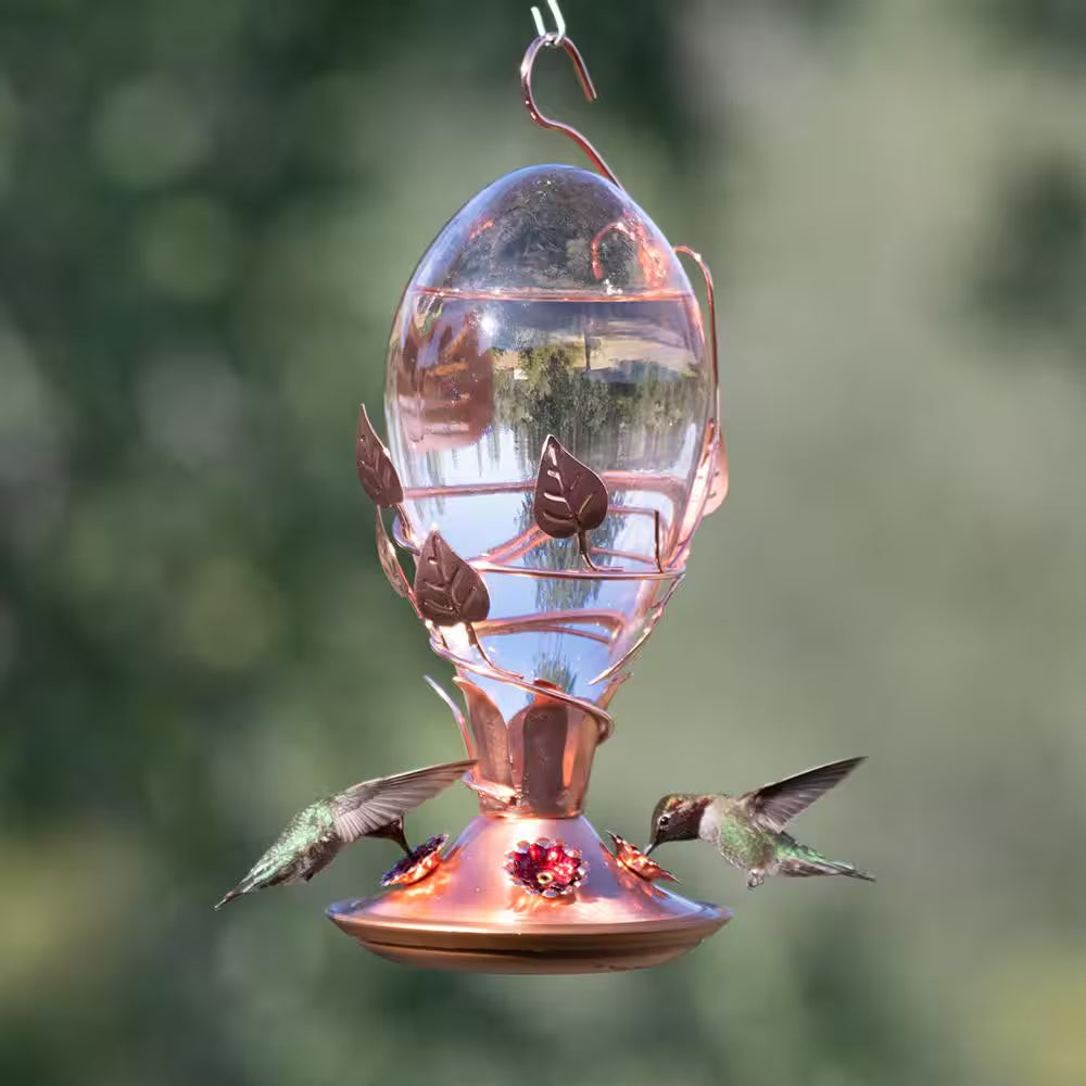 Looking Glass Hummingbird Feeder - 32 Oz. Capacity