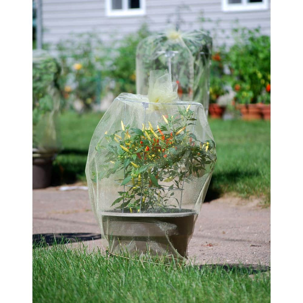 Glamos Wire 33 In. Plant Support (10-Pack)