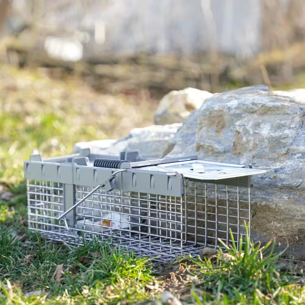 Small 1-Door Humane Catch-And-Release Live Animal Cage Trap for Squirrel, Weasel, Chipmunk