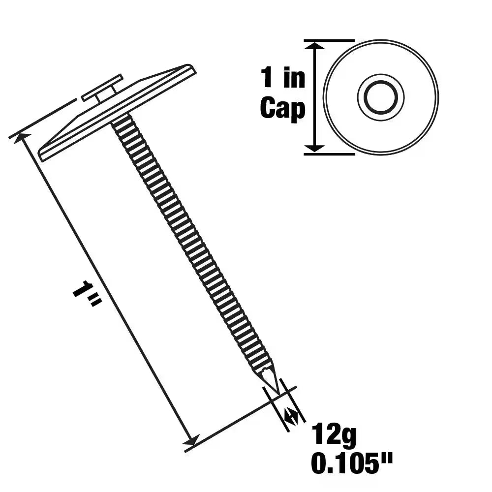 1 In. X 12D Electro-Galvanized Plastic Cap Non-Collated Roofing Nails 8.2 Lbs. (2296-Count)