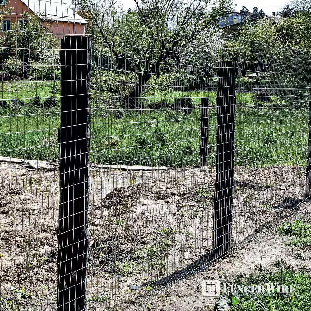 2 Ft. X 100 Ft. 14-Gauge Welded Wire Fence with Mesh 2 In. X 4 In.