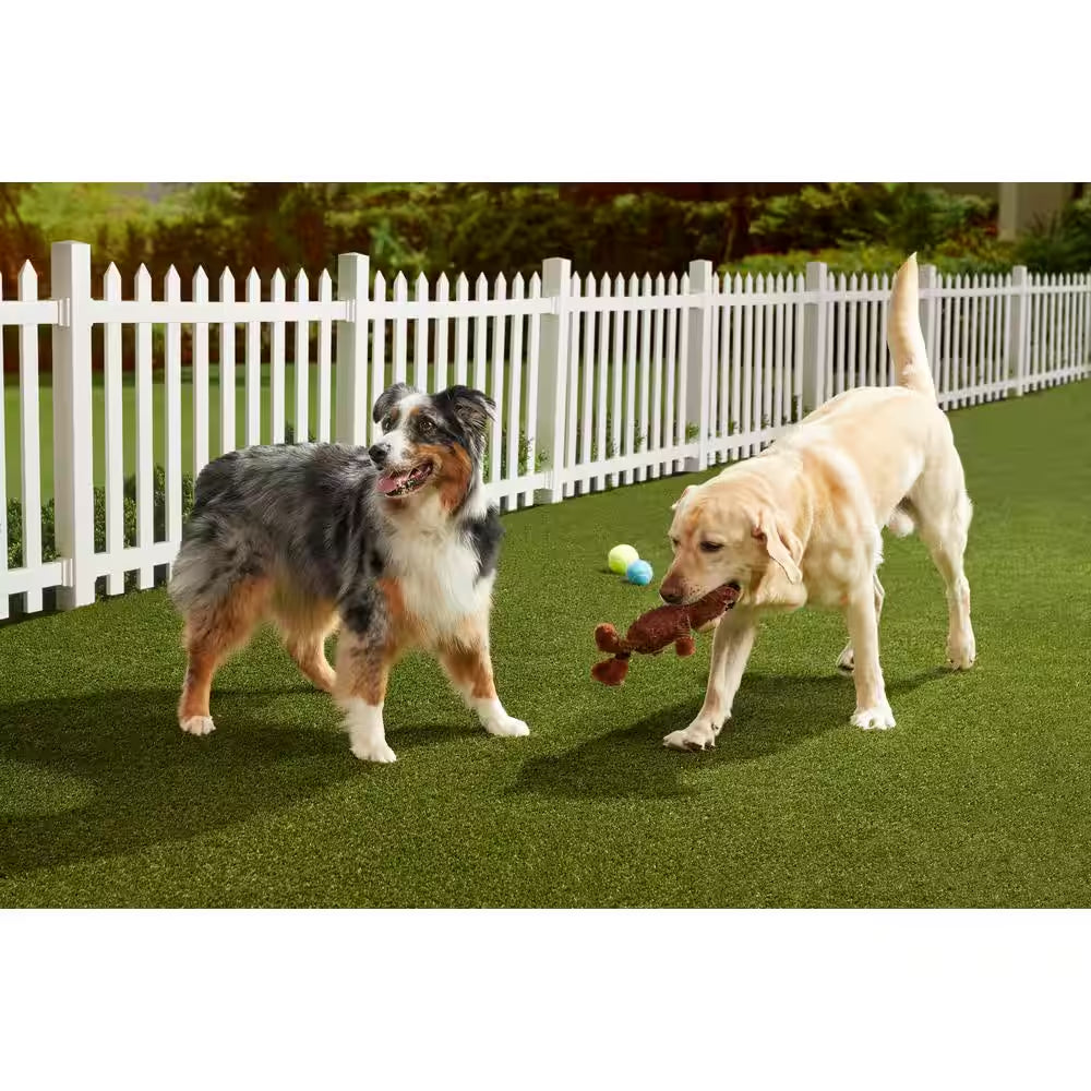 Premium Pet Turf 3.75 Ft. X 9 Ft. Green Artificial Grass Rug