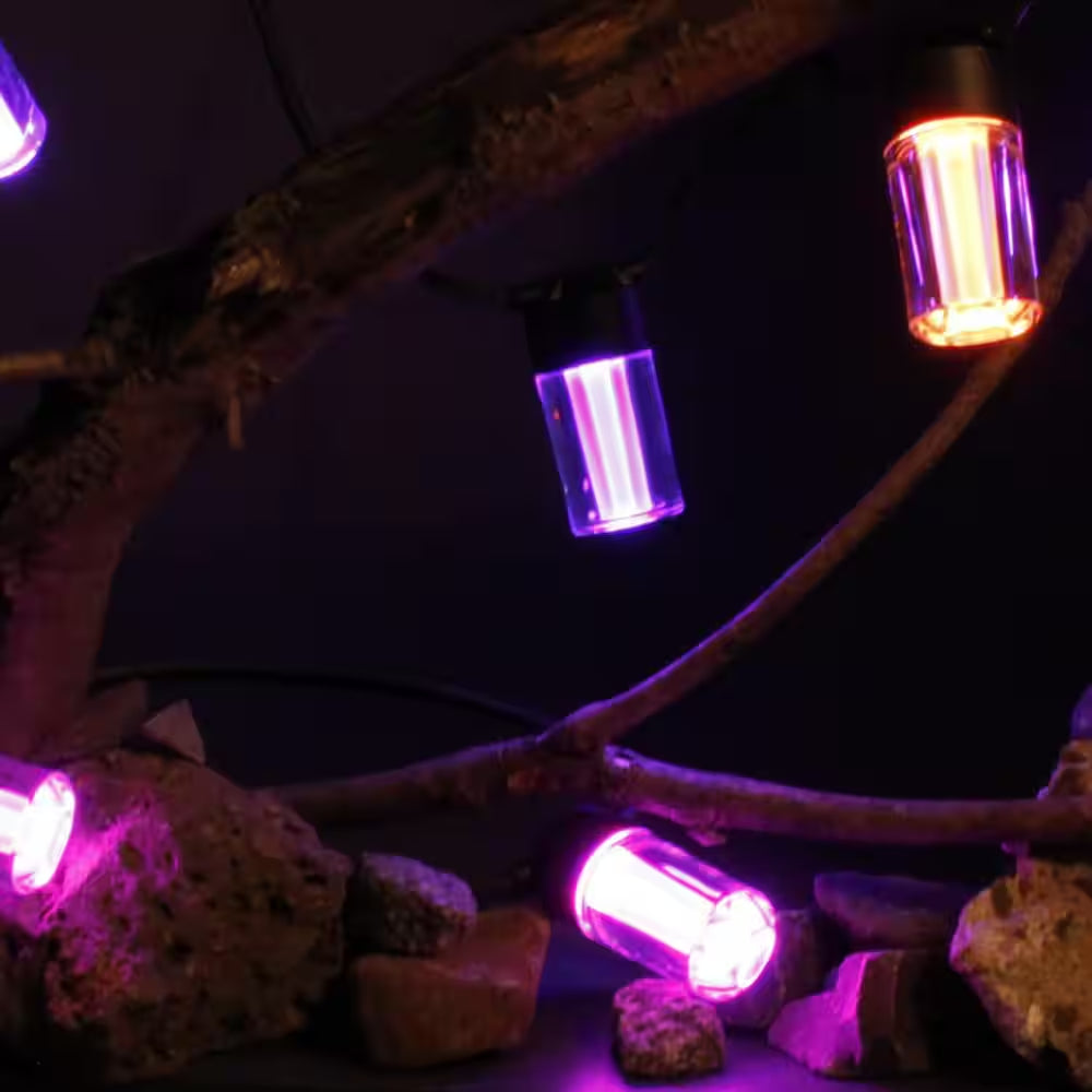 12-Light 24 Ft. Outdoor Plug-In RGB Integrated LED Smart Wi-Fi String Light, Works with Alexa/Hey Google/Homekit/Siri