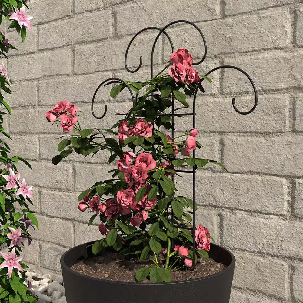 24 In. H Black Flourish Pot Trellis