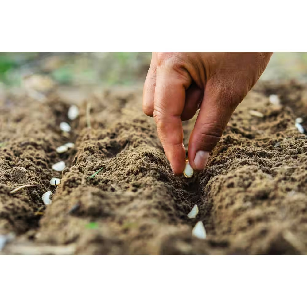 11 Lbs. Coco Coir Potting Soil for Indoor Plants and Outdoor Plant the Coconut Coir Potting Mix Is Great for Microgreens