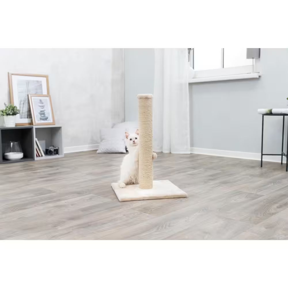 Parla Cat Scratching Post : for Indoor Cats : Plush Covered Base and Sisal Post : Beige : 24 Inches Tall