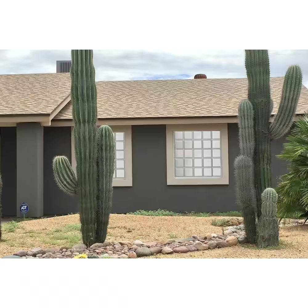 3 In. Thick Series 6 In. X 6 In. X 3 In. (10-Pack) Clear Pattern Glass Block (Actual 5.75 X 5.75 X 3.12 In.)