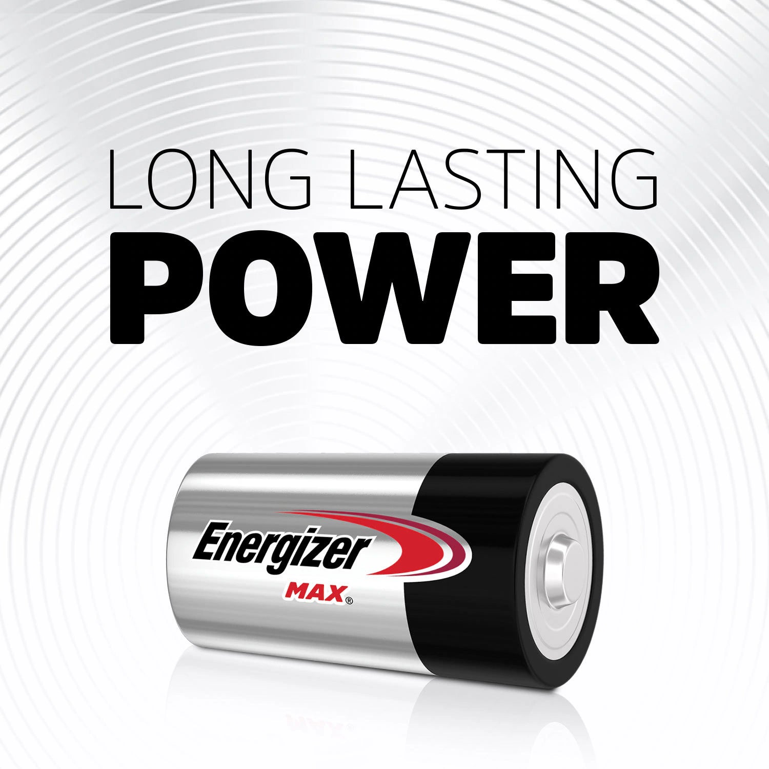 MAX Alkaline D Batteries ( 12 -Pack )