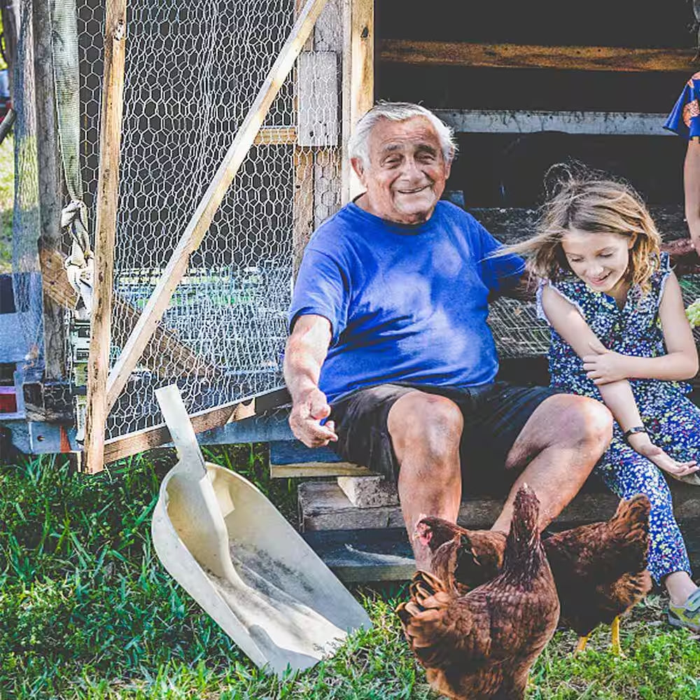 4 Ft. X 150 Ft. 20-Gauge Poultry Netting with 1 In. Mesh