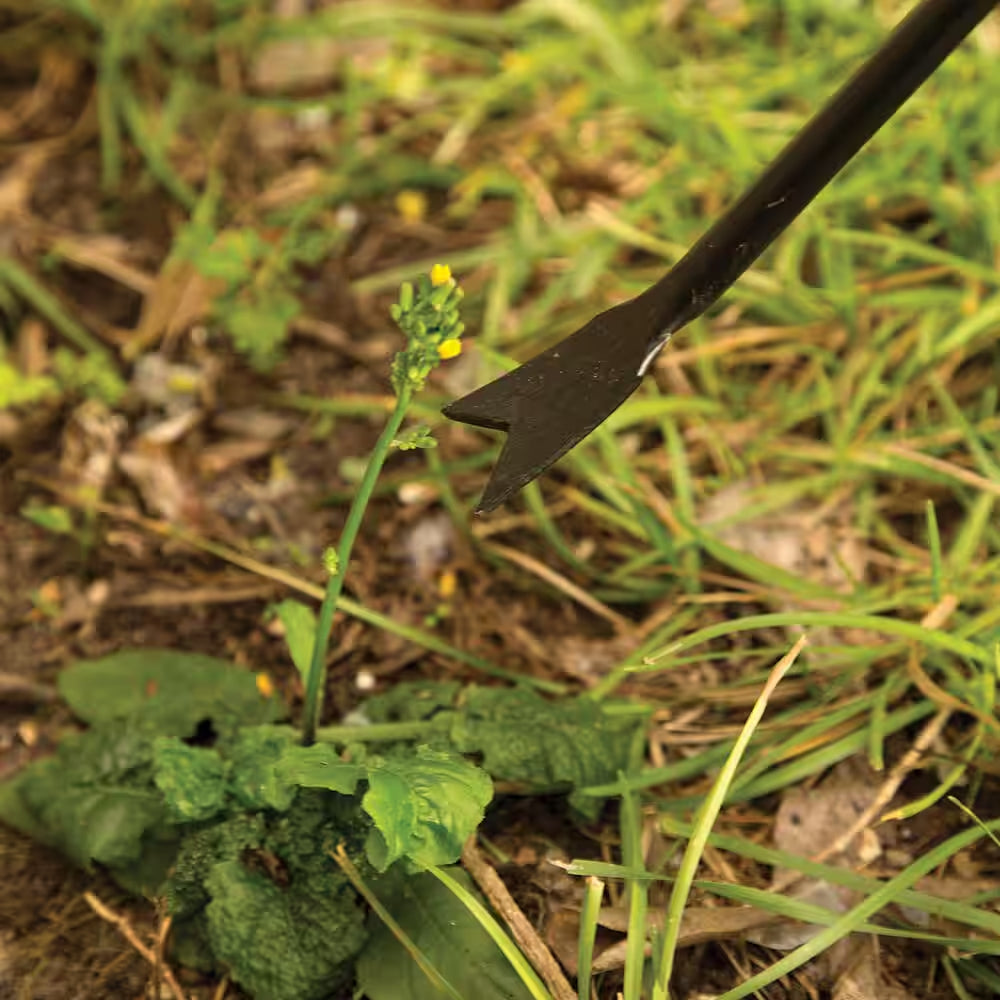 36 In. Wood Handle Forged Dandelion Weeder