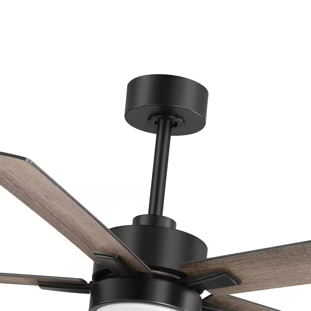 Walter 52 In. Indoor Black Ceiling Fan with Adjustable White LED Light, 5-Reversible Blades and Remote Control Included