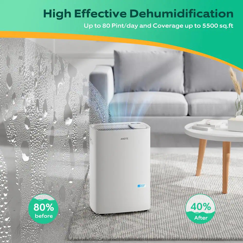 80 Pt. 5500 Sq. Ft. Dehumidifier In. White with Bucket and Drain Hose for Basement, Garage and Damp Rooms ENERGY STAR