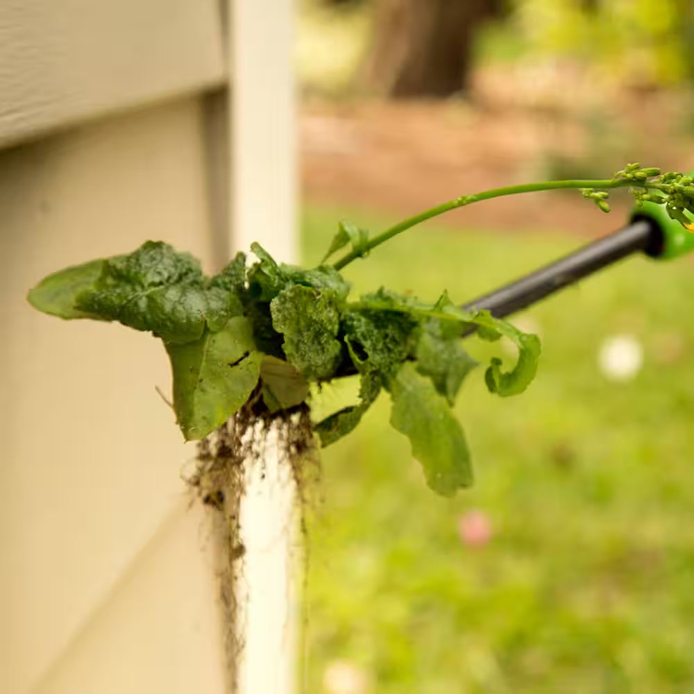 36 In. Wood Handle Forged Dandelion Weeder