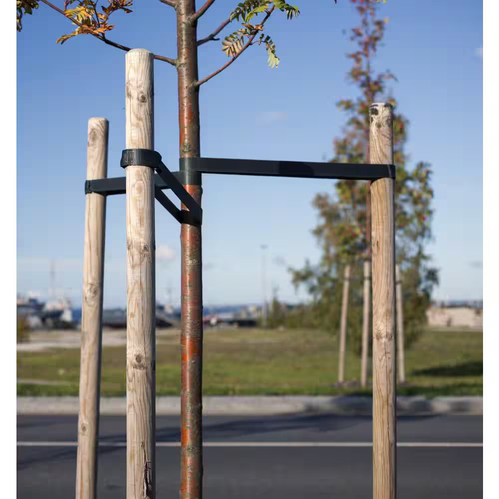 6 Ft. round Tree Stake Lodge-Pole (12-Pack)