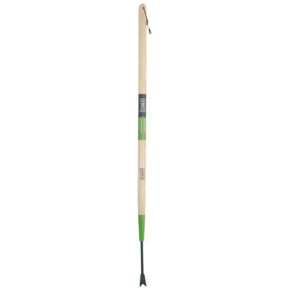 36 In. Wood Handle Forged Dandelion Weeder