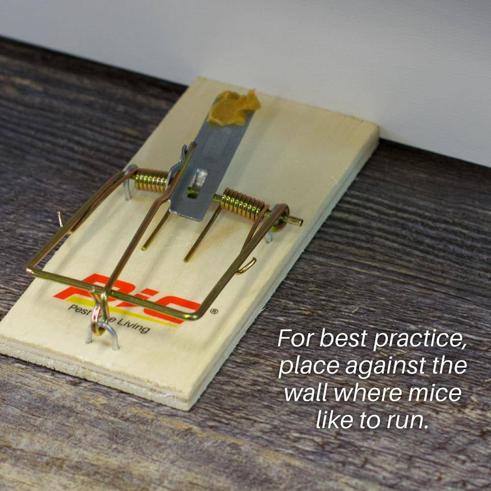 Wood Mouse Traps (Total Number of Traps - 48) (4 Count per Case)