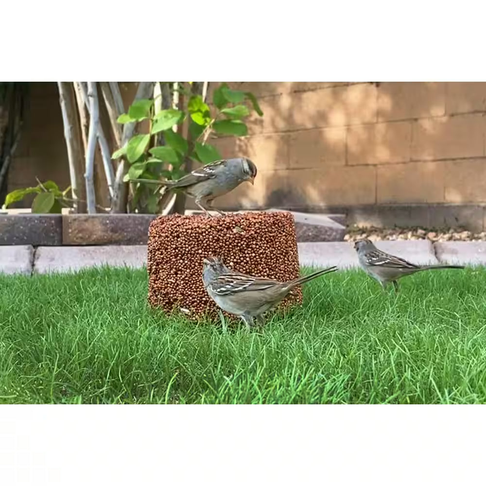 21 Lb. Wild Bird Millet Seed Block