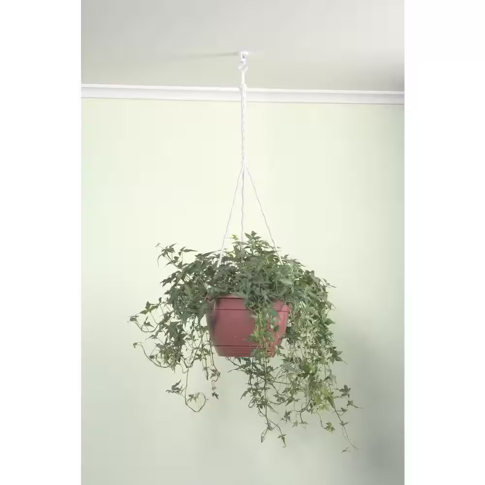 Toggle Lock 100 Lbs. Philips Drywall Screws Anchors (10-Pack)