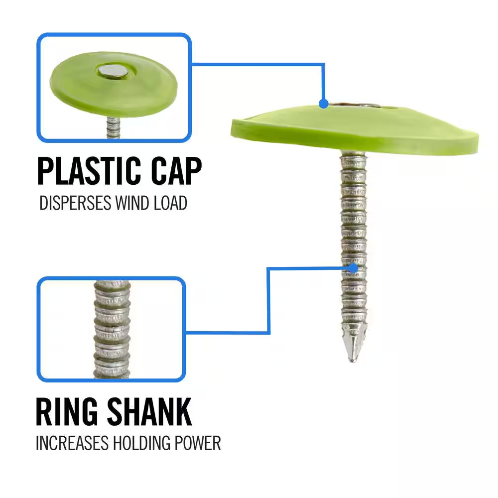 1 In. X 12D Electro-Galvanized Plastic Cap Non-Collated Roofing Nails 8.2 Lbs. (2296-Count)