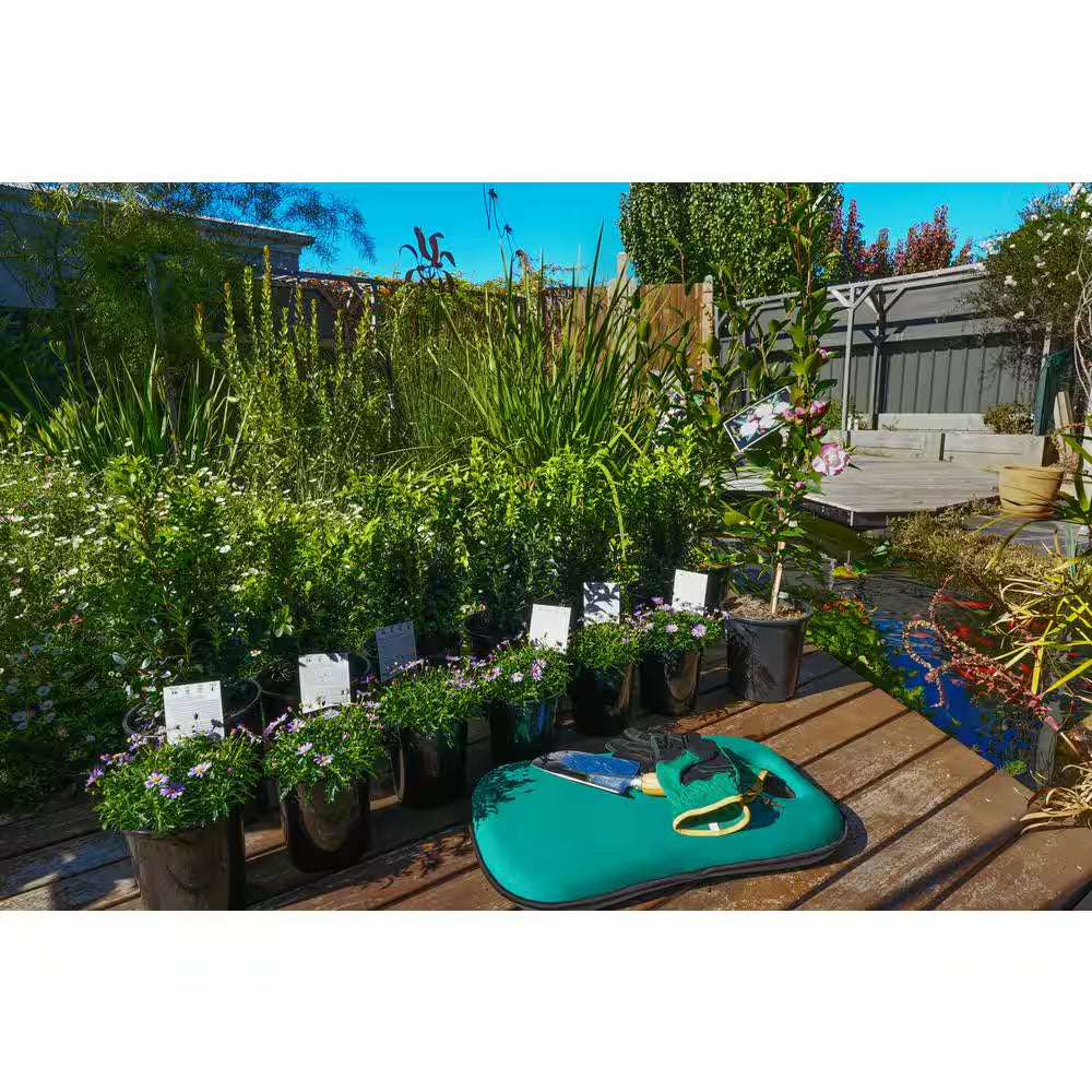 4 Ft. X 100 Ft. Heavy-Duty Matrix Grid Weed Control Landscape Fabric in Dual Color