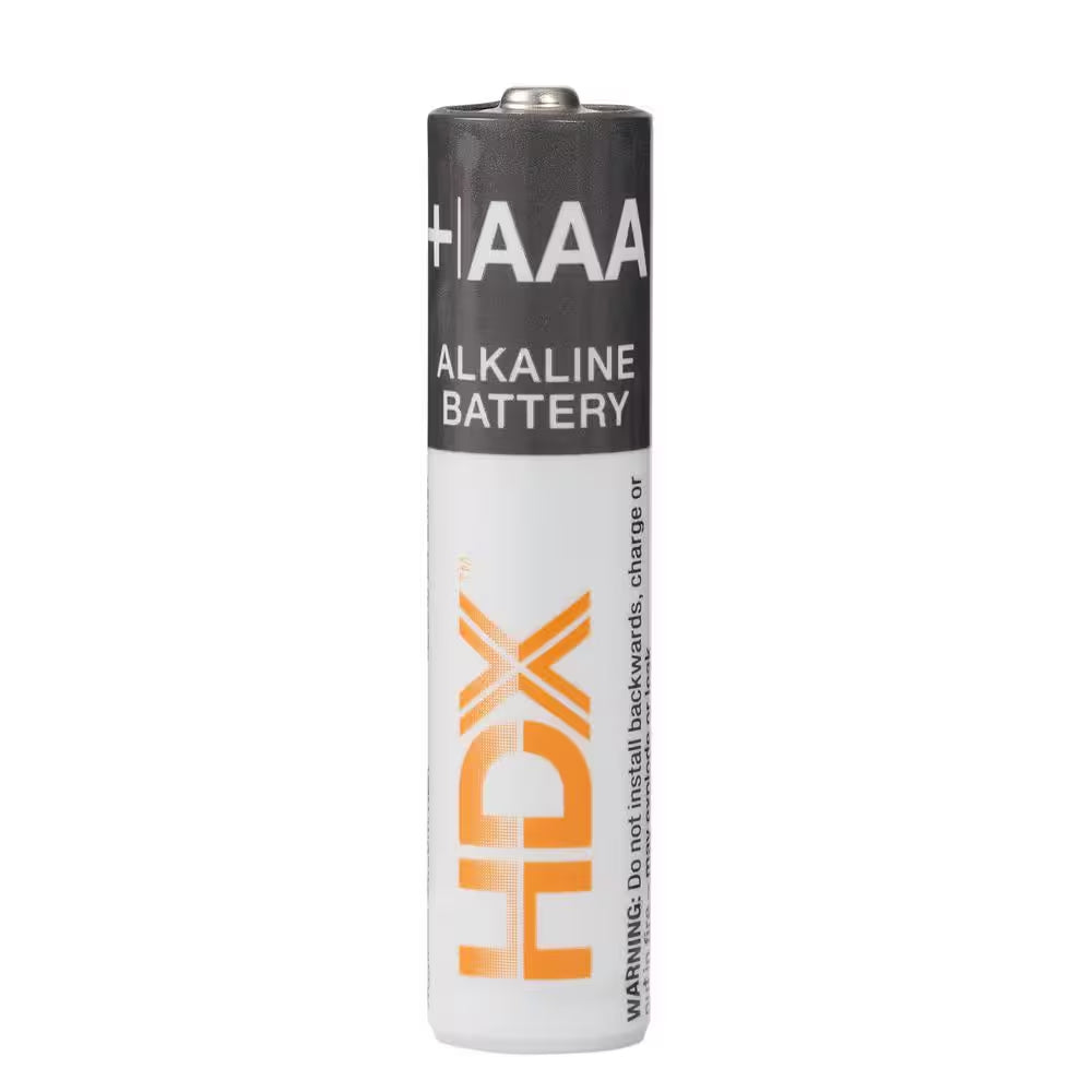 AAA Alkaline Battery (60-Pack)