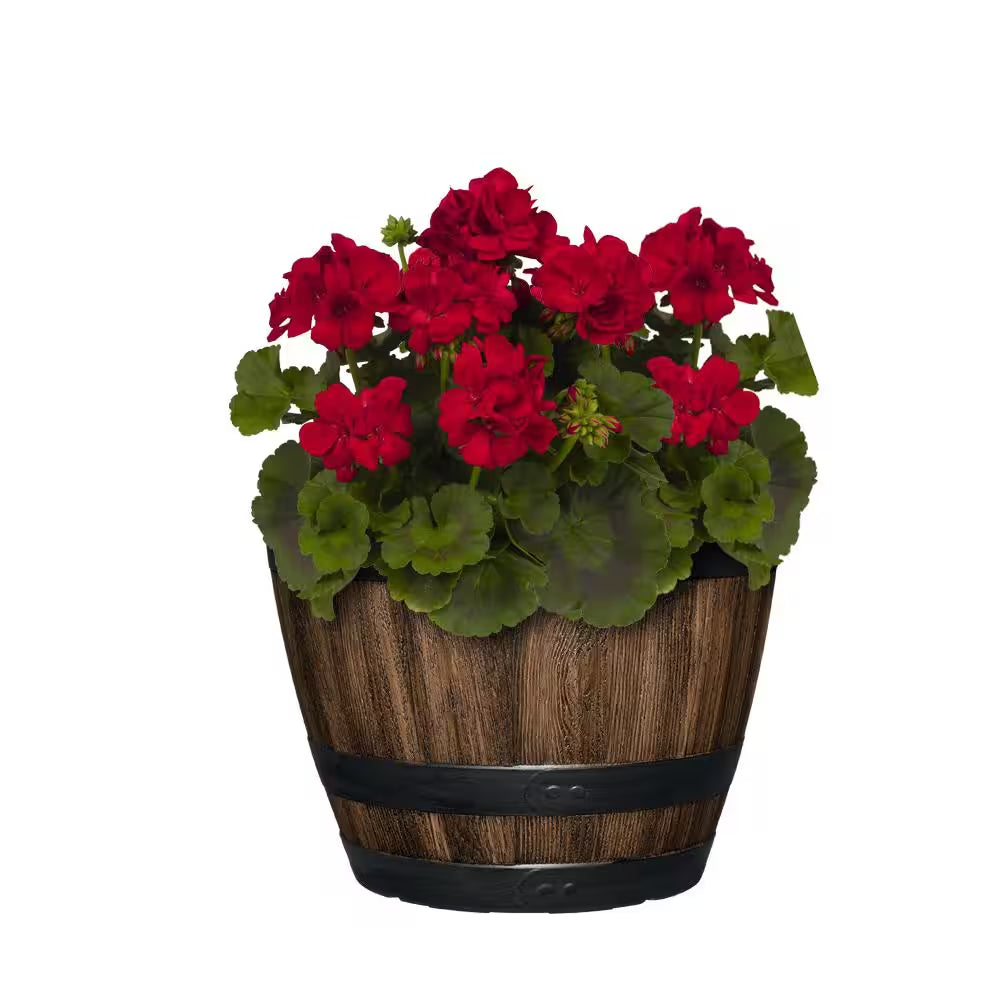 Reedley Medium Walnut Brown Resin Wine Barrel Lightweight round Planter (11.33 In. L X 11.33 In. W X 8.51 In. H)