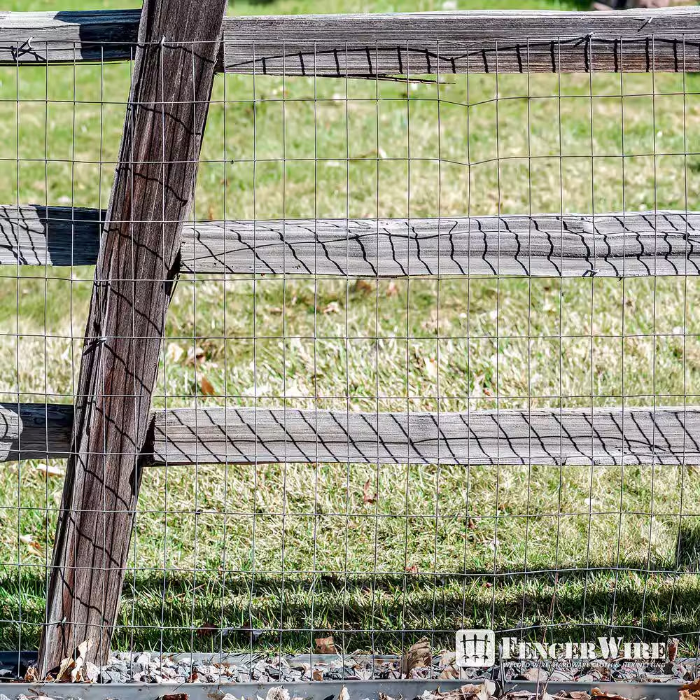 2 Ft. X 100 Ft. 14-Gauge Welded Wire Fence with Mesh 2 In. X 4 In.