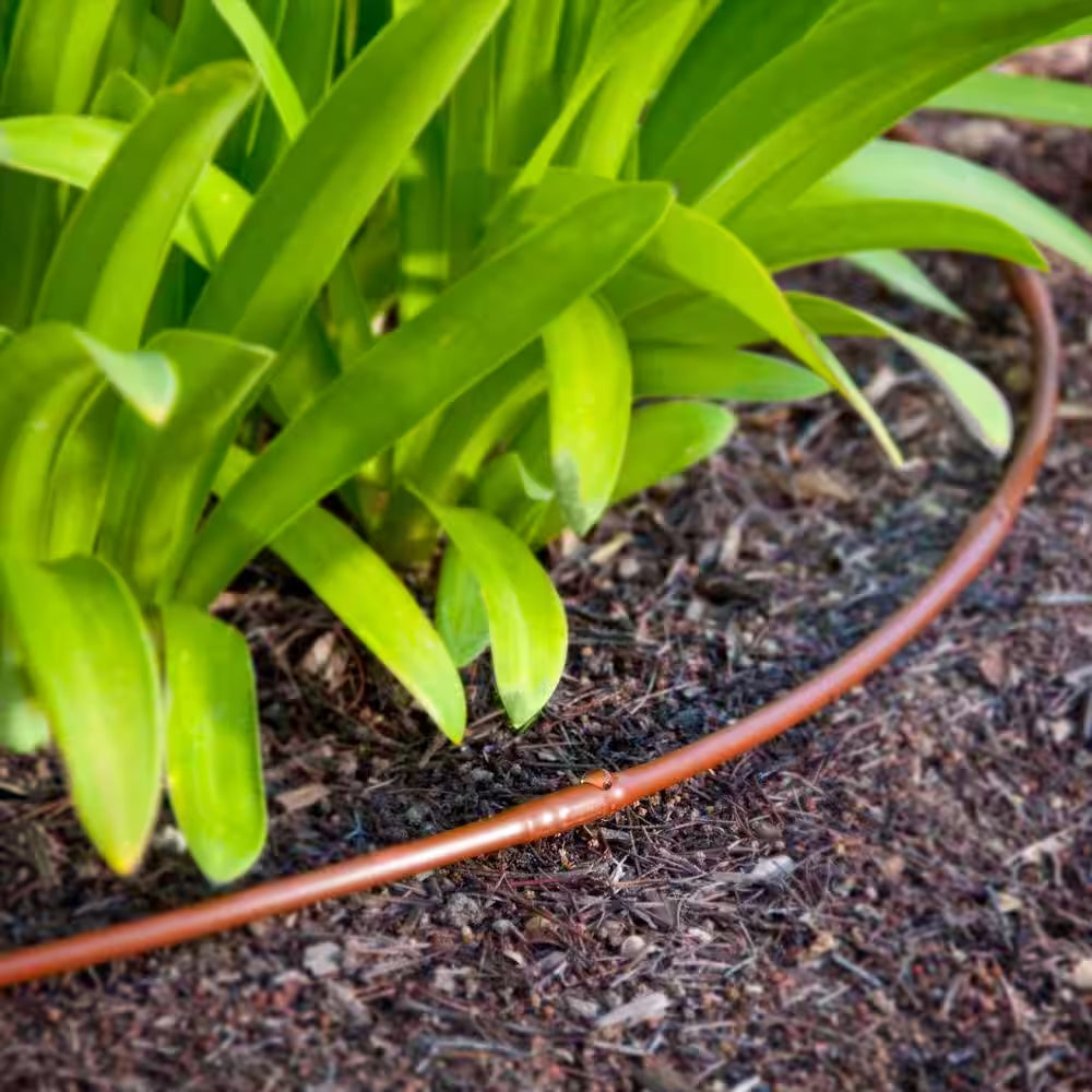 1/4 In. Emitter Tubing 100 Ft. W/6 In. Spacing in Brown