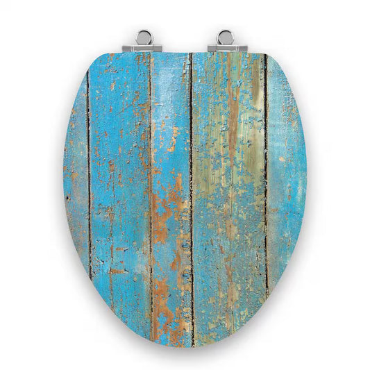 Art of Acryl Slow Close Elongated Toilet Seat in Blue