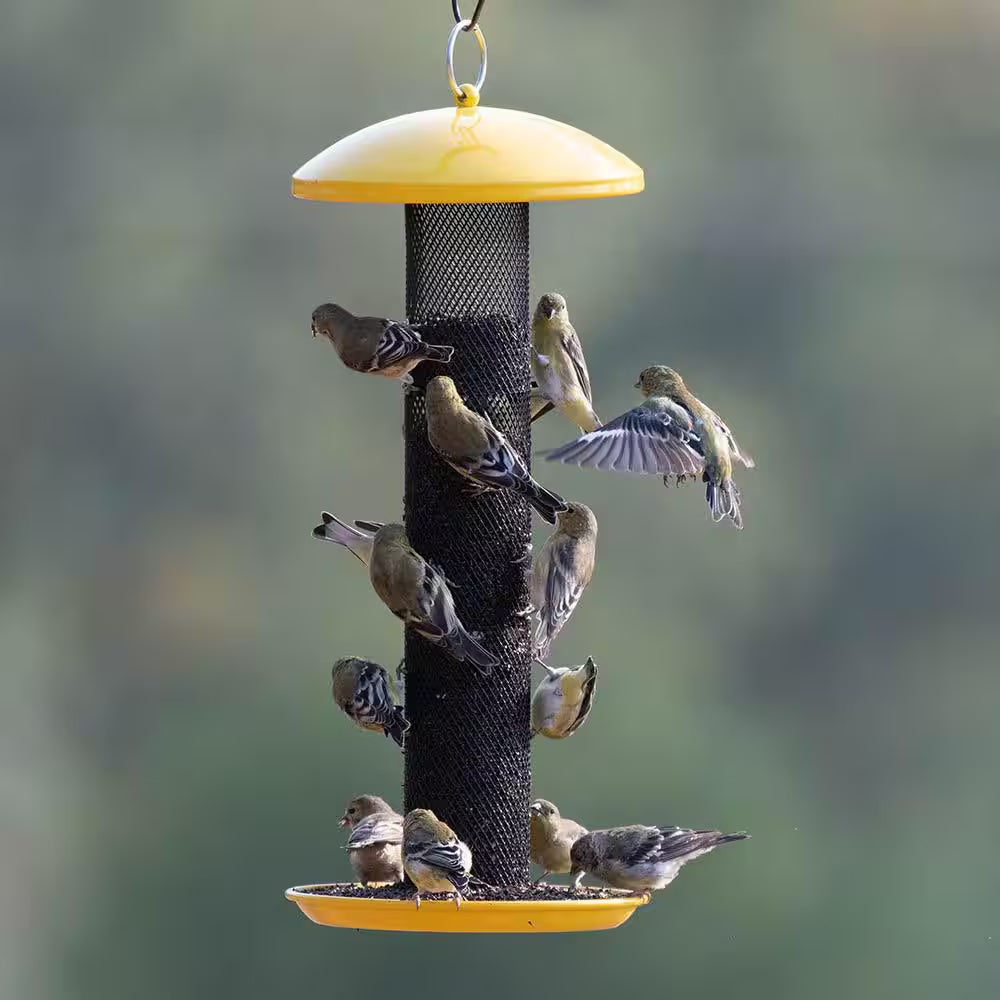 Straight Sided Yellow Metal Hanging Seed Feeder for Finch Bird-1.5 Lb. Capacity