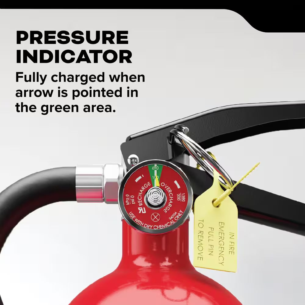 Pro 210 Rechargeable 2-A:10-B:C Class ABC 4 Lb. Fire Extinguisher 21030918