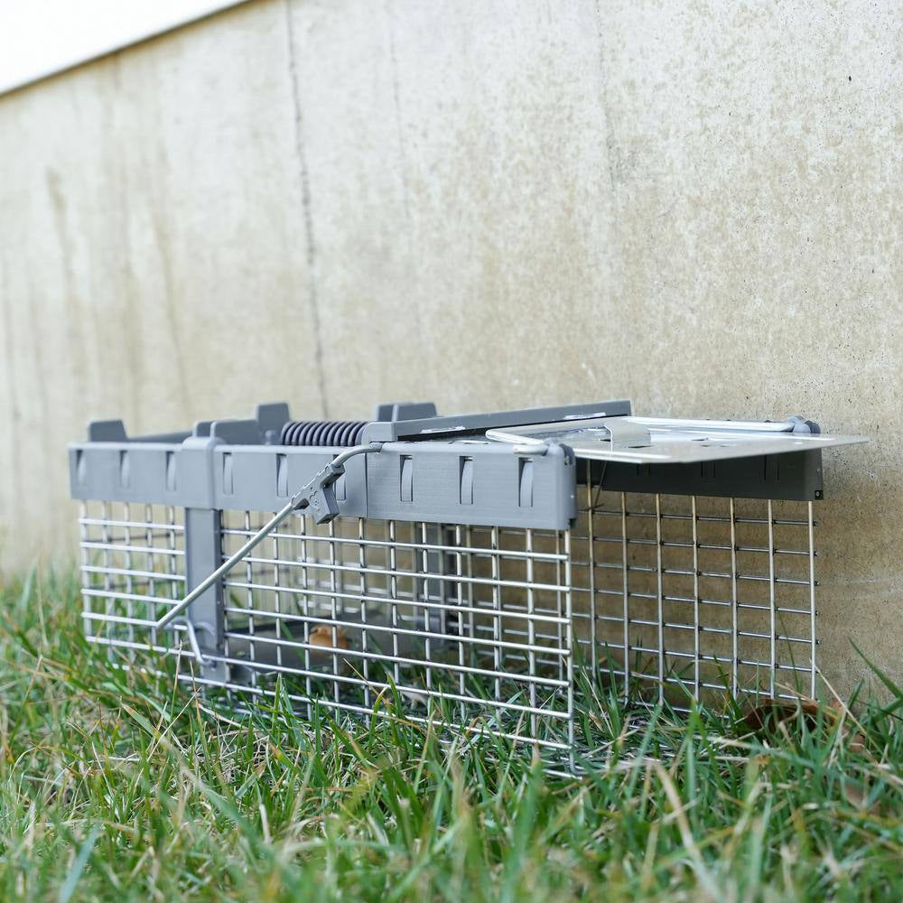 Small 1-Door Humane Catch-And-Release Live Animal Cage Trap for Squirrel, Weasel, Chipmunk