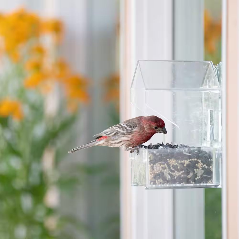 Clear Window Bird Feeder with 4 Suction Cups - 0.5 Lb. Capacity