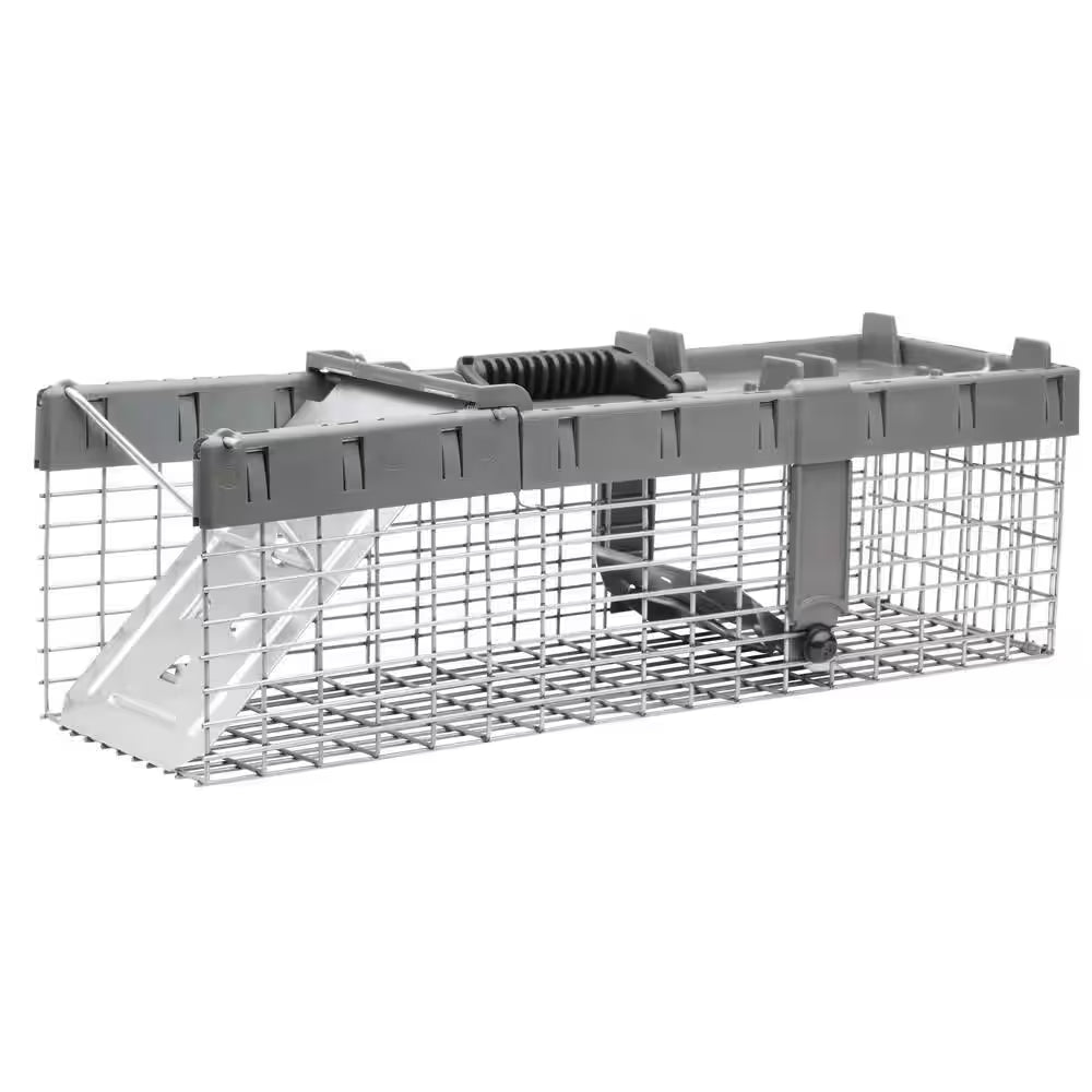Small 1-Door Humane Catch-And-Release Live Animal Cage Trap for Squirrel, Weasel, Chipmunk