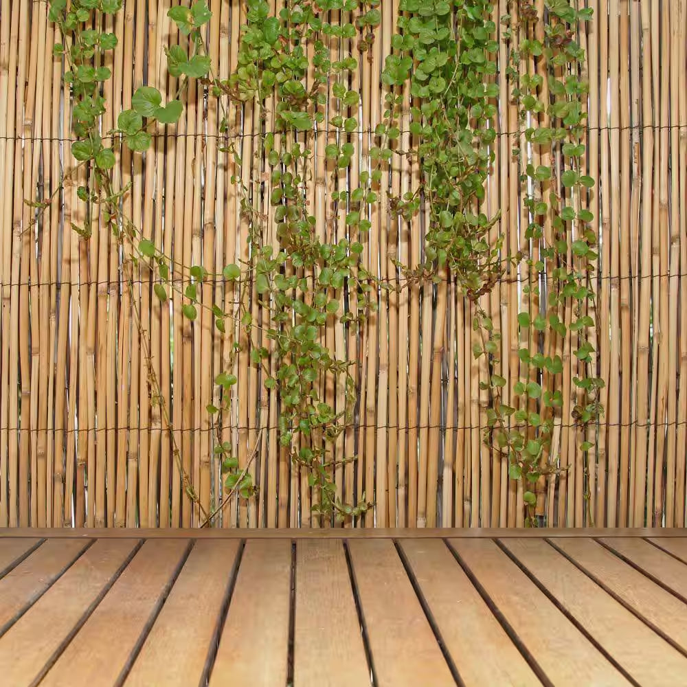 6 Ft. H X 16 Ft. L Natural Jumbo Reed Bamboo Fencing