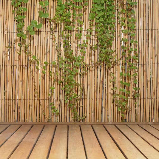 6 Ft. H X 16 Ft. L Natural Jumbo Reed Bamboo Fencing
