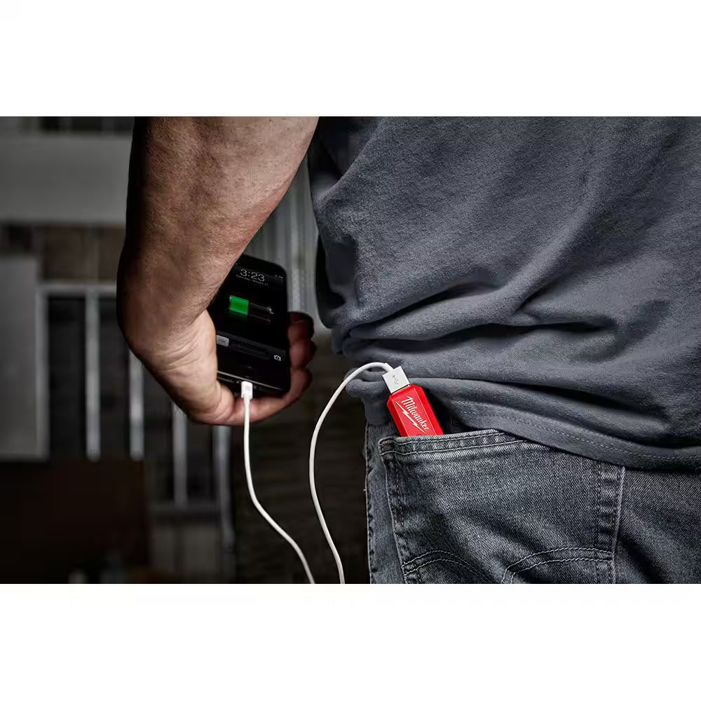 REDLITHIUM USB Charger and Portable Power Source