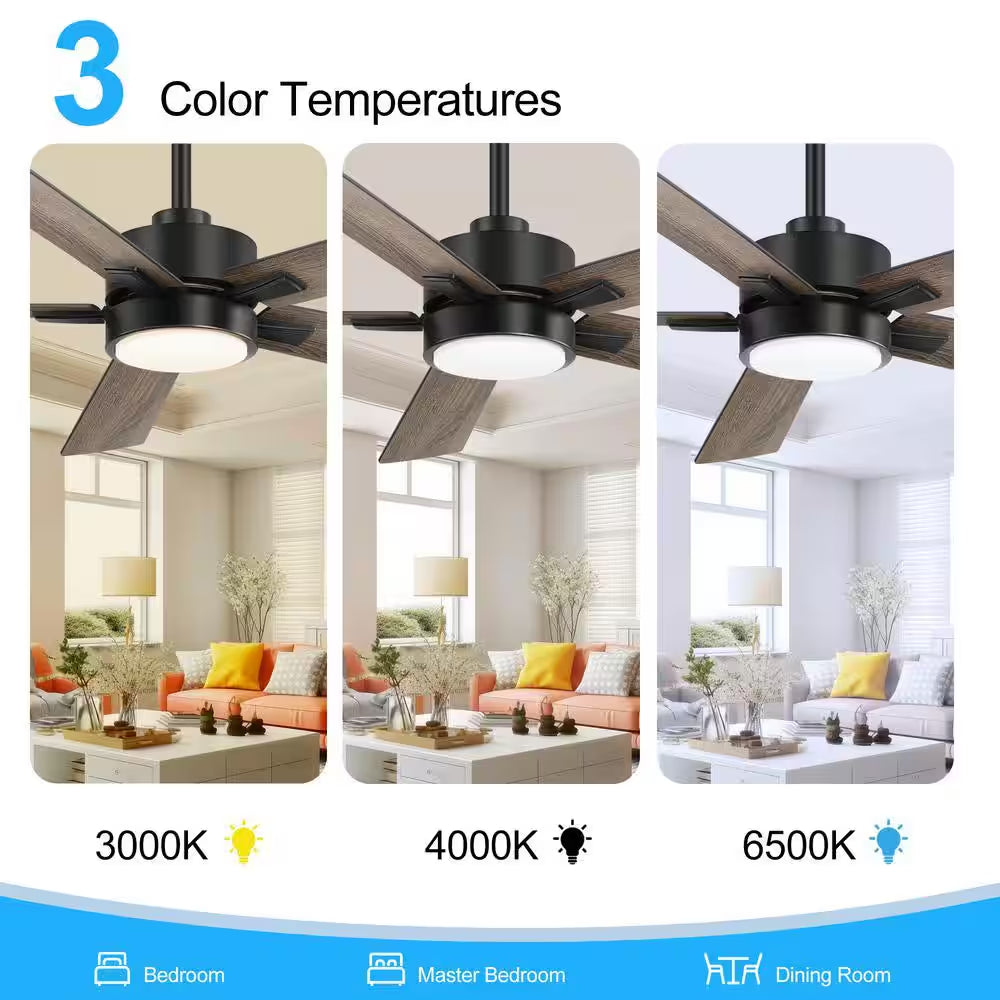 Walter 52 In. Indoor Black Ceiling Fan with Adjustable White LED Light, 5-Reversible Blades and Remote Control Included